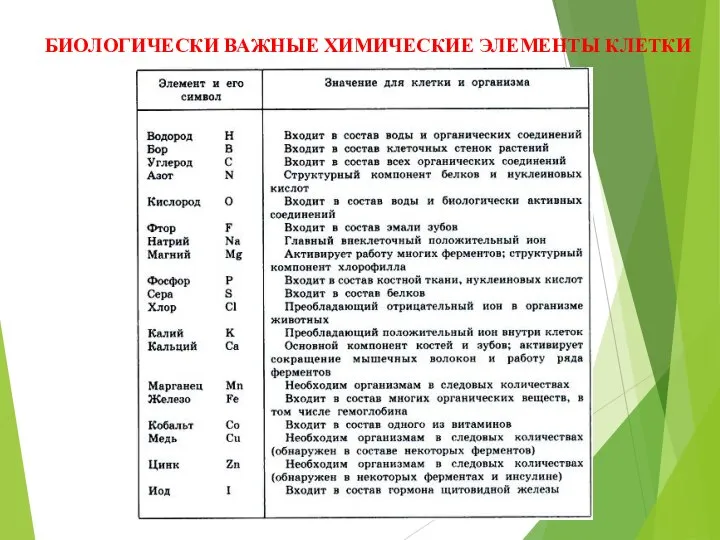 БИОЛОГИЧЕСКИ ВАЖНЫЕ ХИМИЧЕСКИЕ ЭЛЕМЕНТЫ КЛЕТКИ