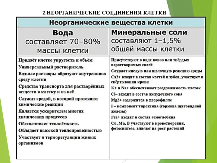 2.НЕОРГАНИЧЕСКИЕ СОЕДИНЕНИЯ КЛЕТКИ