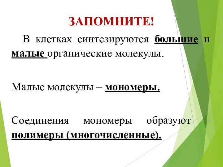 ЗАПОМНИТЕ! В клетках синтезируются большие и малые органические молекулы. Малые молекулы –