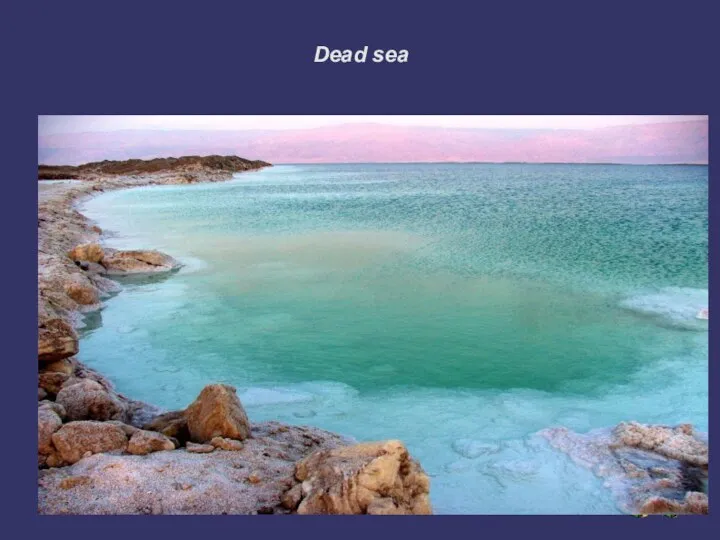 Dead sea