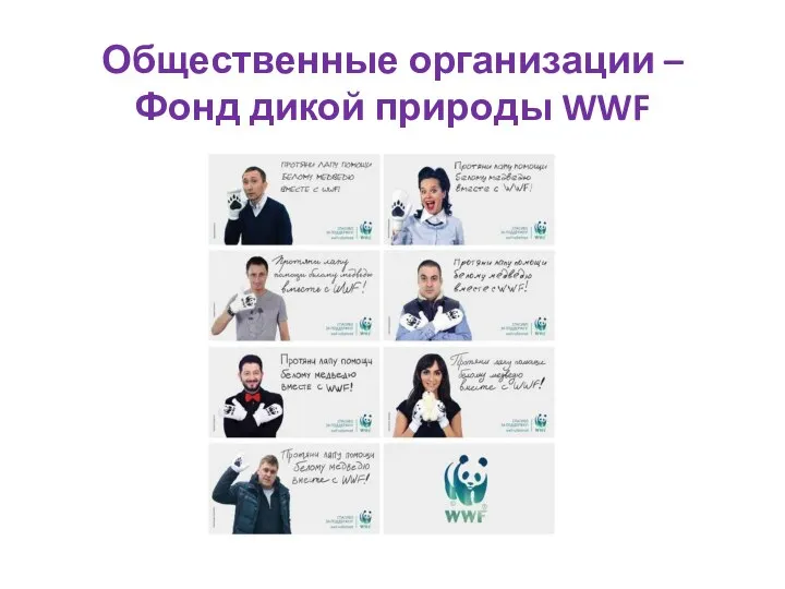 Общественные организации – Фонд дикой природы WWF