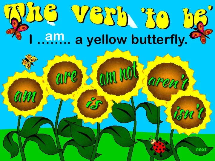 aren't am are is isn't I …….. a yellow butterfly. am am not next
