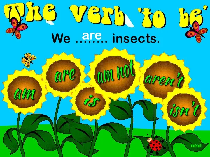 aren't am are is isn't We …….. insects. are am not next