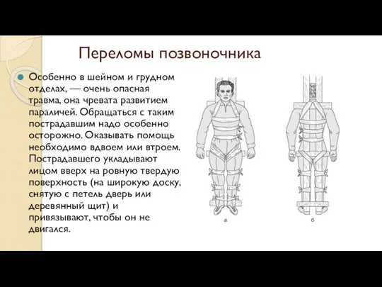 Переломы позвоночника Особенно в шейном и грудном отделах, — очень опасная травма,