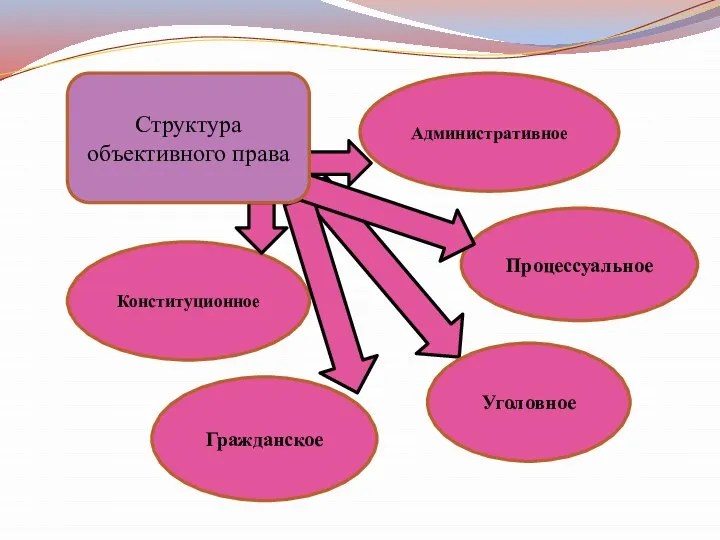 Конституционное Административное Гражданское Уголовное Процессуальное Структура объективного права