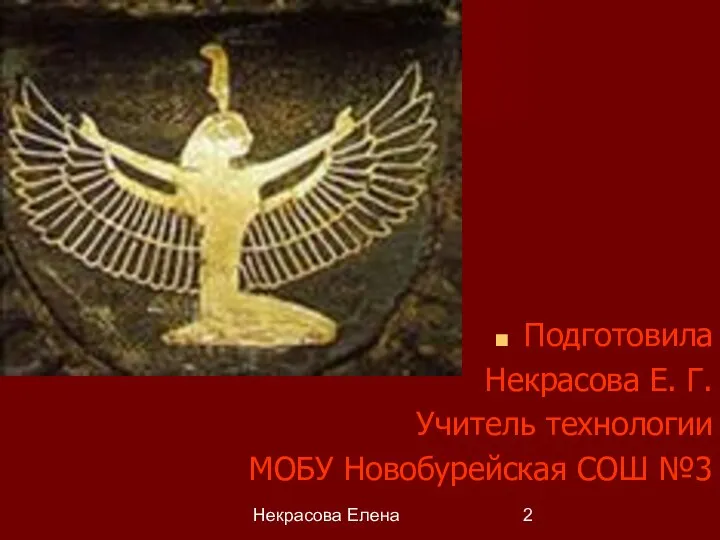 Некрасова Елена Подготовила Некрасова Е. Г. Учитель технологии МОБУ Новобурейская СОШ №3