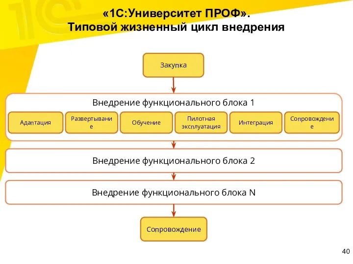 «1С:Университет ПРОФ». Типовой жизненный цикл внедрения