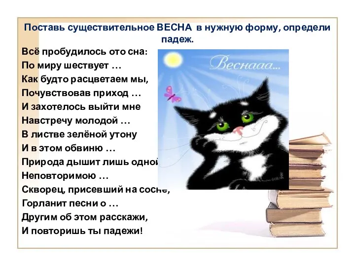 Поставь существительное ВЕСНА в нужную форму, определи падеж. Всё пробудилось ото сна: