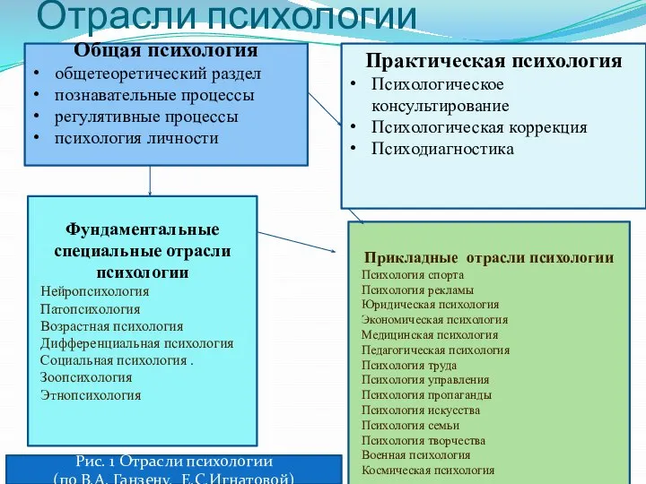 Отрасли психологии Общая психология общетеоретический раздел познавательные процессы регулятивные процессы психология личности