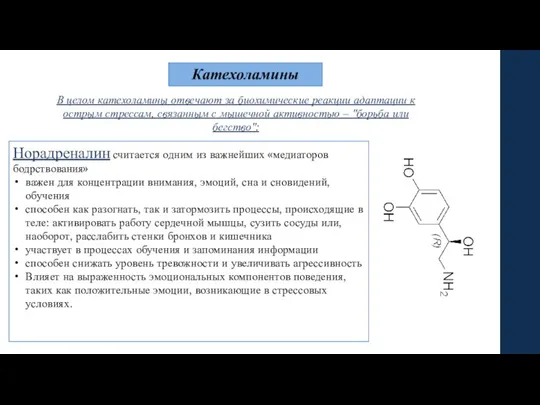 Катехоламины В целом катехоламины отвечают за биохимические реакции адаптации к острым стрессам,