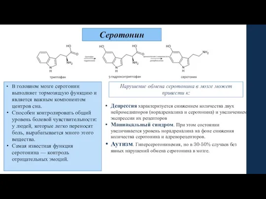 Депрессия характеризуется снижением количества двух нейромедиаторов (норадреналина и серотонина) и увеличением экспрессии