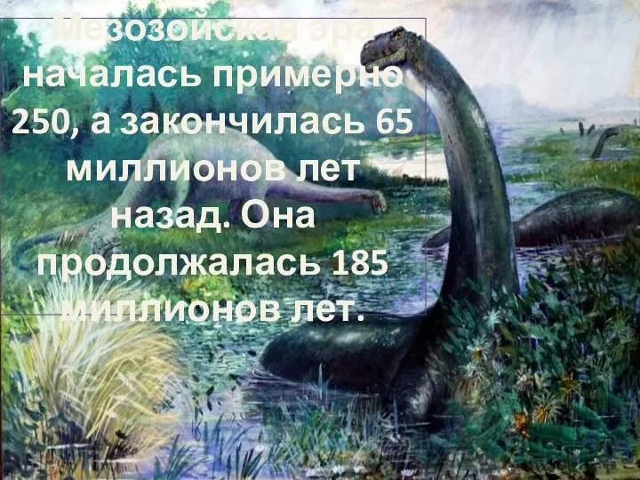 Мезозойская эра началась примерно 250, а закончилась 65 миллионов лет назад. Она продолжалась 185 миллионов лет.