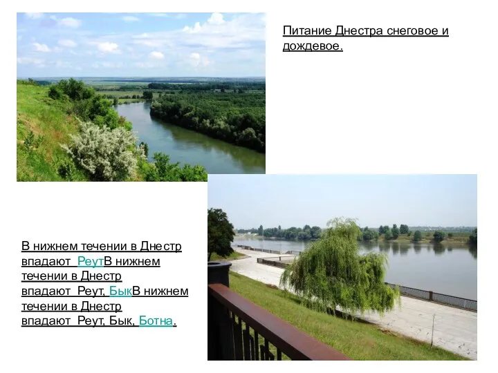 В нижнем течении в Днестр впадают РеутВ нижнем течении в Днестр впадают