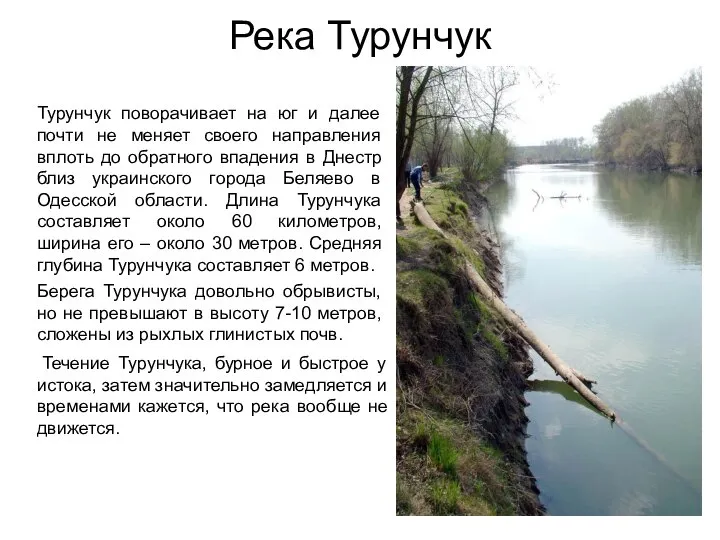 Река Турунчук Турунчук поворачивает на юг и далее почти не меняет своего