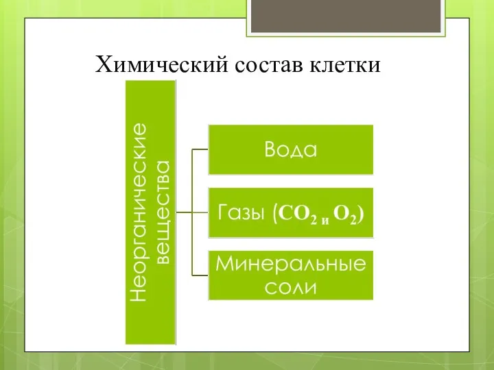 Химический состав клетки