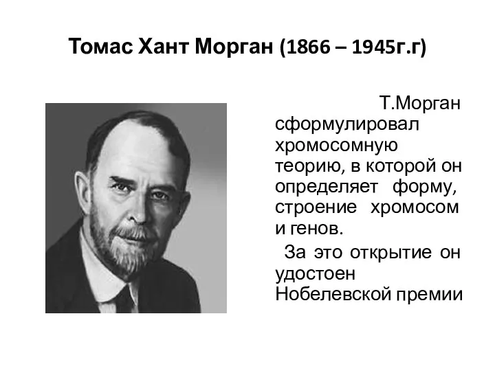 Томас Хант Морган (1866 – 1945г.г) Т.Морган сформулировал хромосомную теорию, в которой