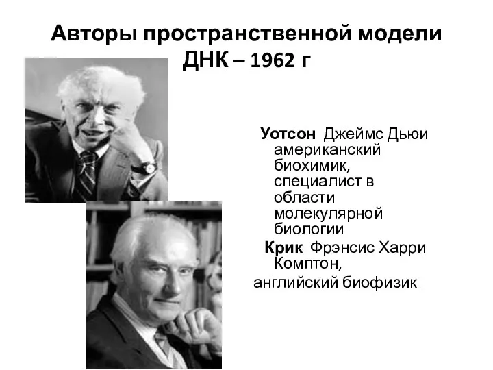 Авторы пространственной модели ДНК – 1962 г Уотсон Джеймс Дьюи американский биохимик,