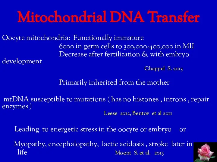 Mitochondrial DNA Transfer Oocyte mitochondria: Functionally immature 6000 in germ cells to