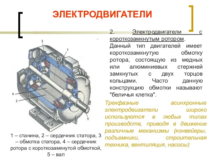 ЭЛЕКТРОДВИГАТЕЛИ 1 – станина, 2 – сердечник статора, 3 – обмотка статора,