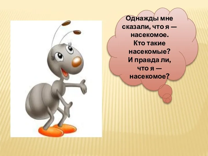 Однажды мне сказали, что я — насекомое. Кто такие насекомые? И правда