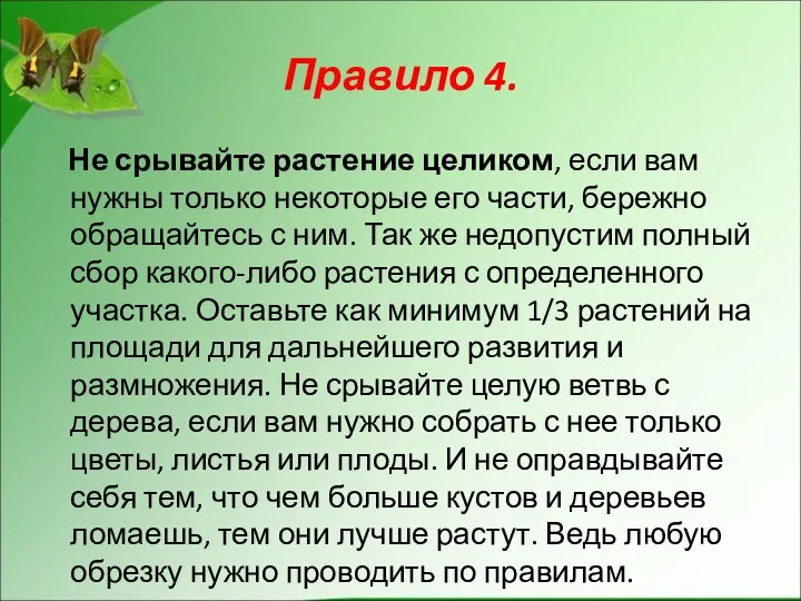 Правило 4. Не срывайте растение целиком, если вам нужны только некоторые его