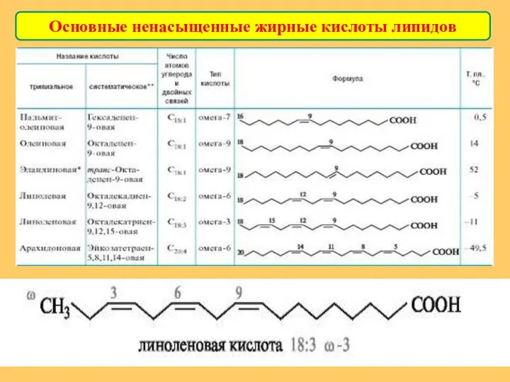 Основные ненасыщенные жирные кислоты липидов