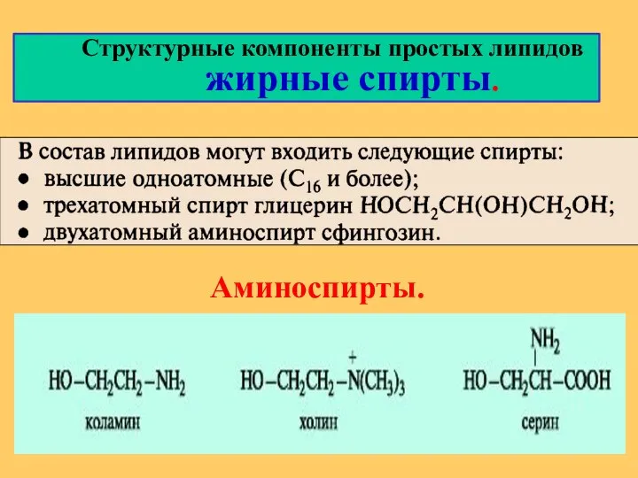 Структурные компоненты простых липидов жирные спирты. Аминоспирты.