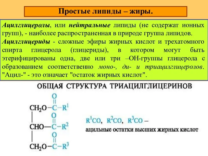 Простые липиды – жиры. Ацилглицеролы, или нейтральные липиды (не содержат ионных групп),