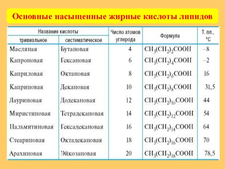 Основные насыщенные жирные кислоты липидов