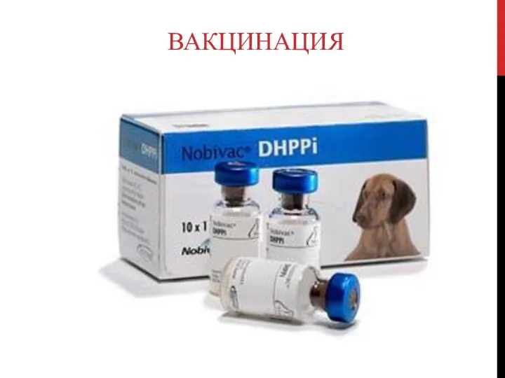 ВАКЦИНАЦИЯ