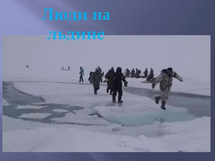 Люди на льдине