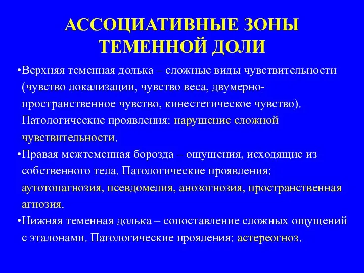 АССОЦИАТИВНЫЕ ЗОНЫ ТЕМЕННОЙ ДОЛИ Верхняя теменная долька – сложные виды чувствительности (чувство