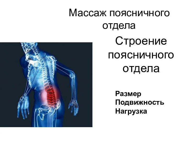 Массаж поясничного отдела Строение поясничного отдела Размер Подвижность Нагрузка