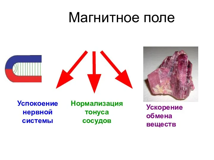 Магнитное поле Успокоение нервной системы Нормализация тонуса сосудов Ускорение обмена веществ