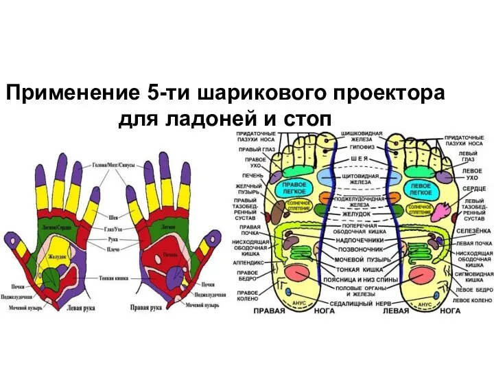 Применение 5-ти шарикового проектора для ладоней и стоп