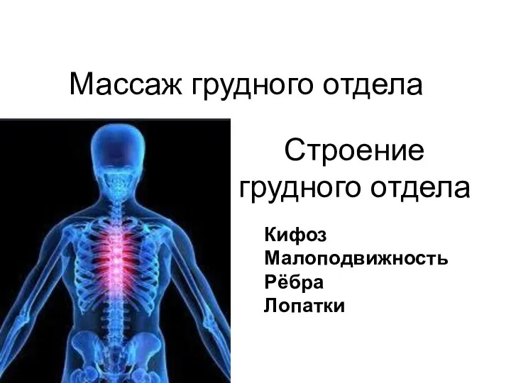 Массаж грудного отдела Строение грудного отдела Кифоз Малоподвижность Рёбра Лопатки