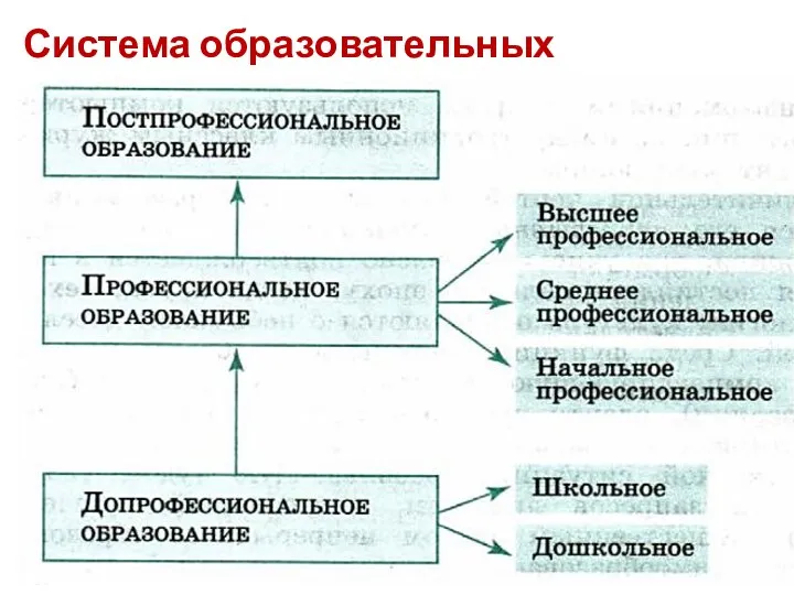 Система образовательных учреждений: