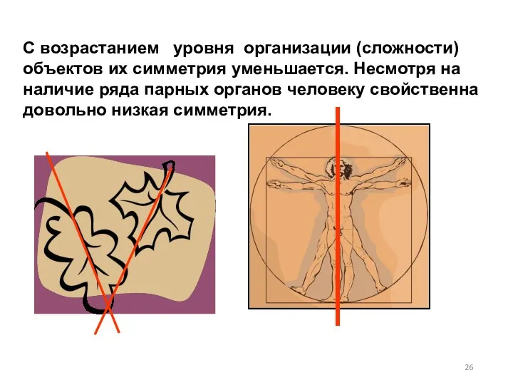 С возрастанием уровня организации (сложности) объектов их симметрия уменьшается. Несмотря на наличие