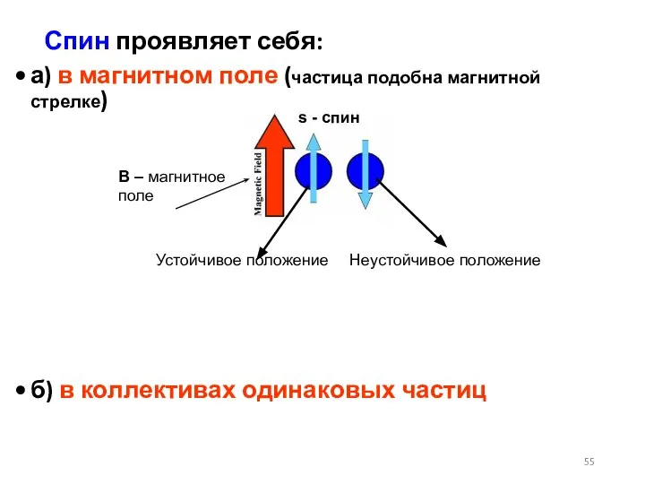 Спин проявляет себя: а) в магнитном поле (частица подобна магнитной стрелке) б)