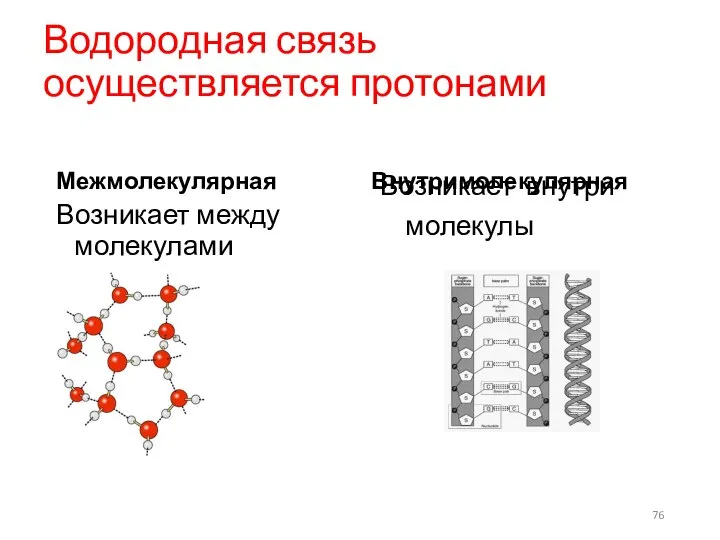 Водородная связь осуществляется протонами Межмолекулярная Возникает между молекулами Внутримолекулярная Возникает внутри молекулы