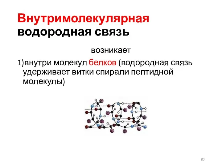 Внутримолекулярная водородная связь возникает 1)внутри молекул белков (водородная связь удерживает витки спирали пептидной молекулы)