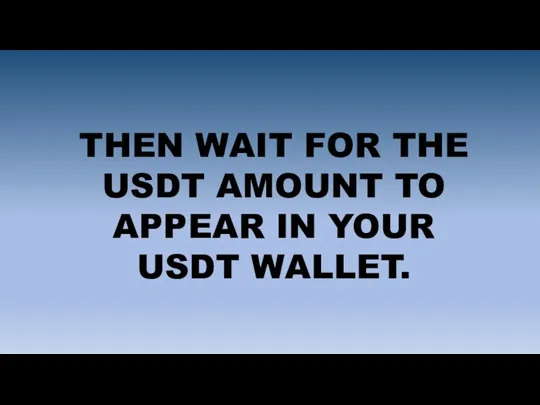 THEN WAIT FOR THE USDT AMOUNT TO APPEAR IN YOUR USDT WALLET.