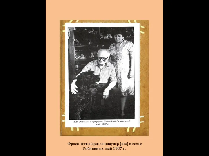 Фрося- пятый ризеншнауцер (ша) в семье Рябининых май 1987 г.