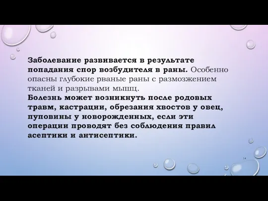 Заболевание развивается в результате попадания спор возбудителя в раны. Особенно опасны глубокие