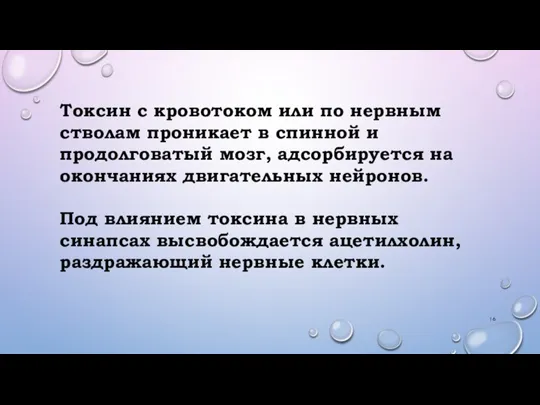 Токсин с кровотоком или по нервным стволам проникает в спинной и продолговатый