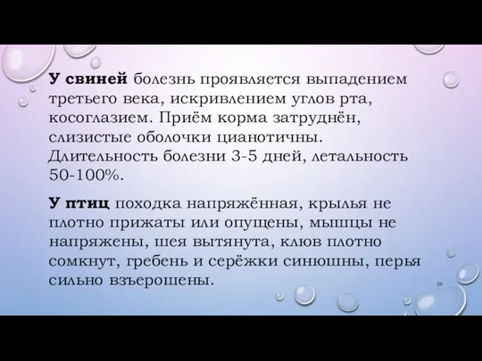 У свиней болезнь проявляется выпадением третьего века, искривлением углов рта, косоглазием. Приём