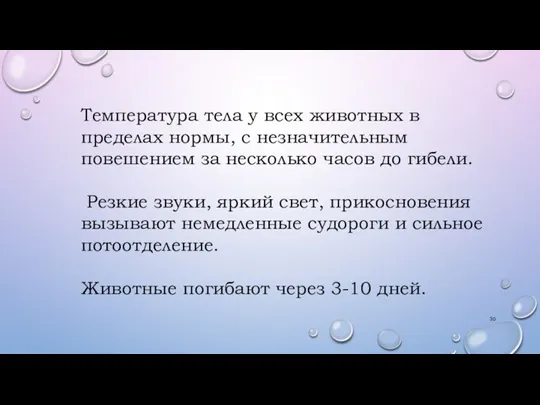 Температура тела у всех животных в пределах нормы, с незначительным повешением за