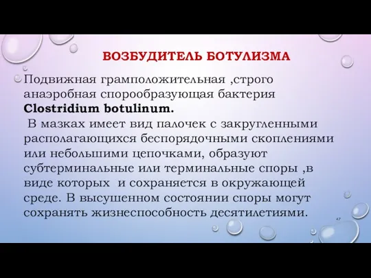 ВОЗБУДИТЕЛЬ БОТУЛИЗМА Подвижная грамположительная ,строго анаэробная спорообразующая бактерия Clostridium botulinum. В мазках