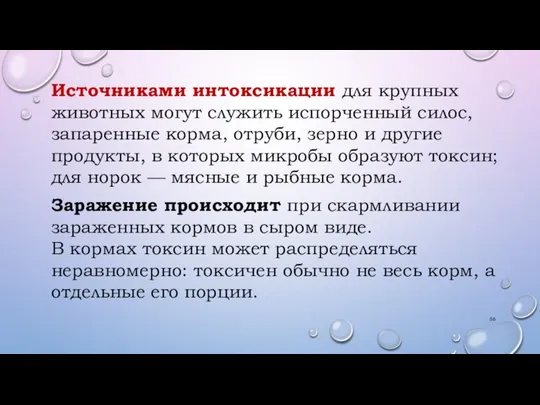 Источниками интоксикации для крупных животных могут служить испорченный силос, запаренные корма, отруби,