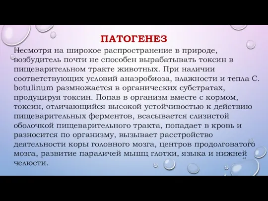 ПАТОГЕНЕЗ Несмотря на широкое распространение в природе, возбудитель почти не способен вырабатывать